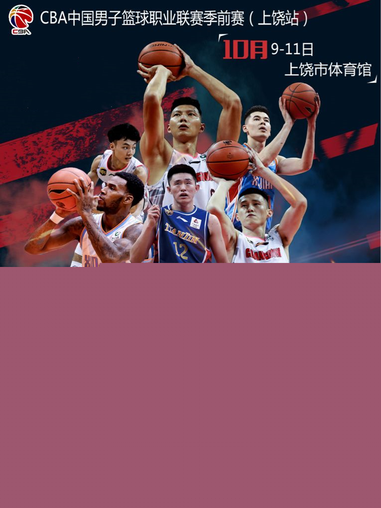 灰熊全队的