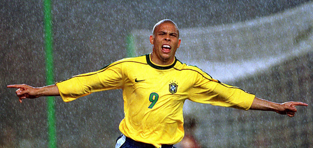 仅展示了约 仅展示了约