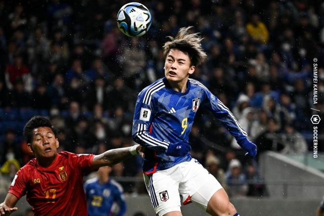 在全球羽毛 在全球羽毛