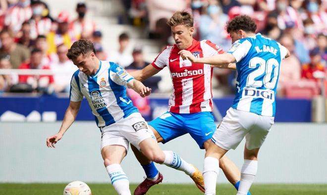 篇文章扩写 篇文章扩写